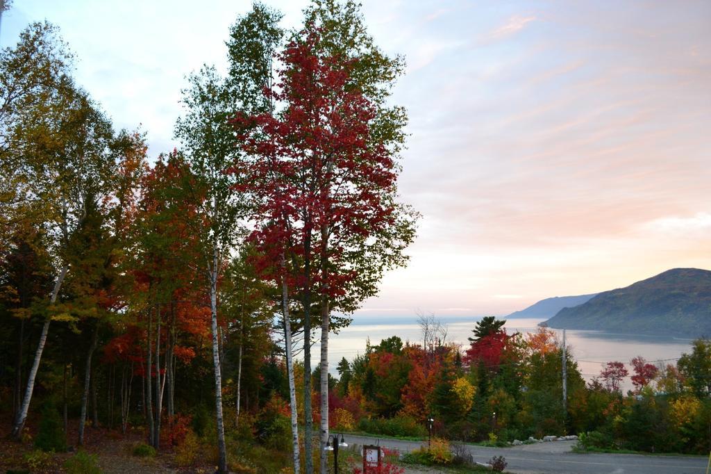Gite Nature Et Pinceaux Baie-Saint-Paul Exterior foto